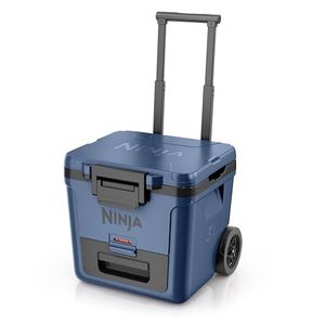 NINJA Preview