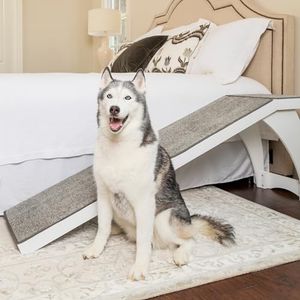 PETSAFE Preview