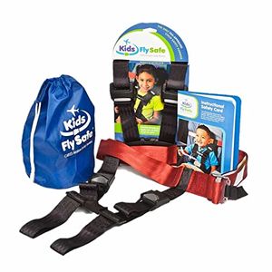 CARES KIDS FLY SAFE Preview