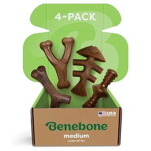 BENEBONE Preview