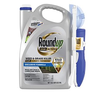 ROUNDUP Preview
