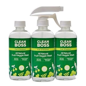CLEANBOSS Preview