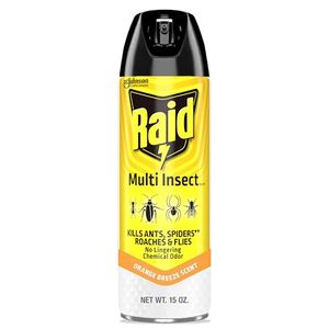RAID Preview