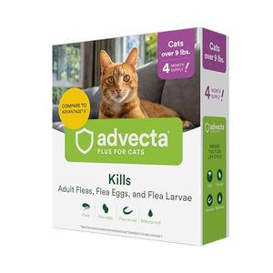 ADVECTA Preview