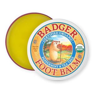 BADGER Preview