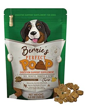 BERNIE'S PERFECT POOP Preview