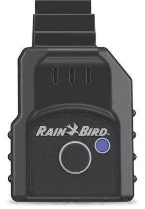 RAIN BIRD Preview