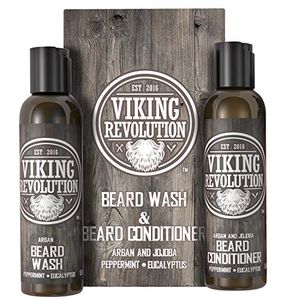 VIKING REVOLUTION Preview
