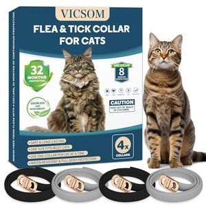 VICSOM Preview