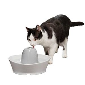 PETSAFE Preview