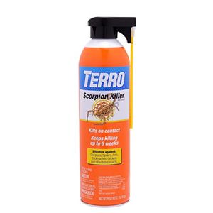 TERRO Preview