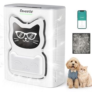 FAVEETIE Preview