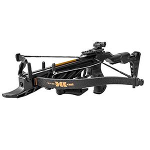 BEAR ARCHERY Preview