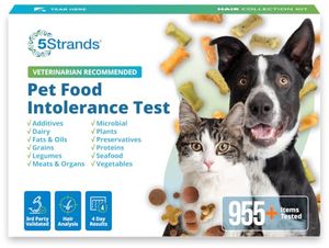 5STRANDS Preview