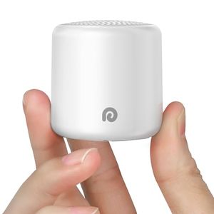 DREAMEGG Preview