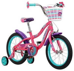 SCHWINN Preview