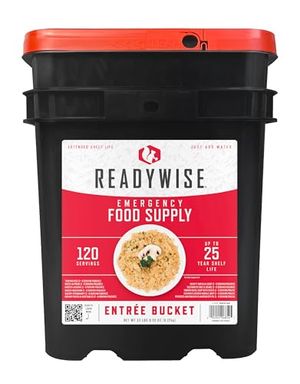 READYWISE Preview