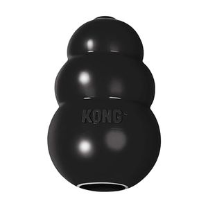 KONG Preview