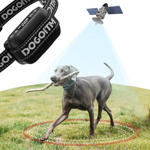 DOGOITM Preview