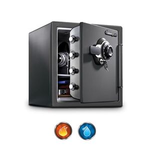 SENTRYSAFE Preview