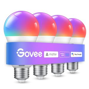 GOVEE Preview
