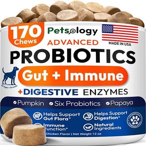 PETSOLOGY Preview