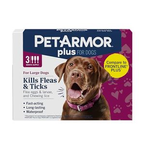 PETARMOR Preview