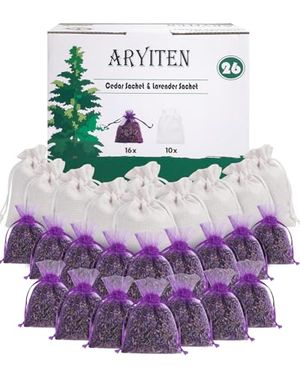 ARYITEN Preview