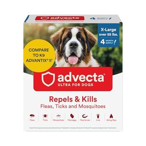 ADVECTA Preview
