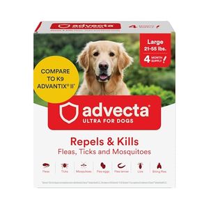 ADVECTA Preview