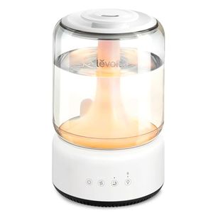 LEVOIT Preview