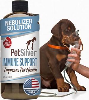 PETSILVER Preview