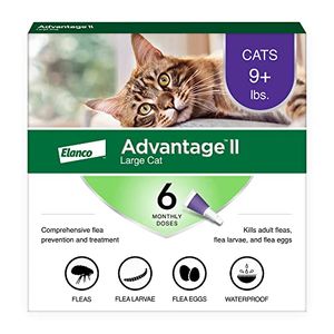 BAYER ANIMAL HEALTH Preview