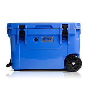 BLUE COOLERS Preview