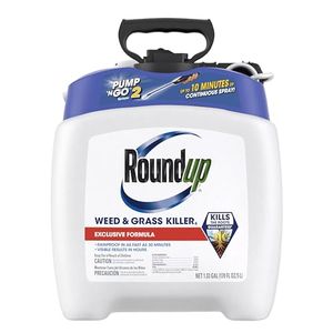 ROUNDUP Preview