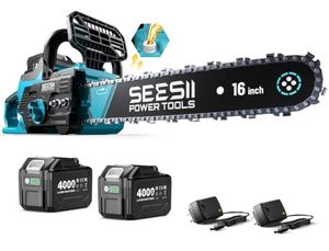 SEESII Preview