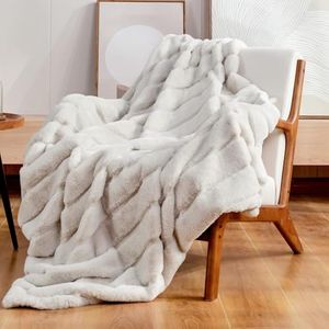 COZY BLISS Preview