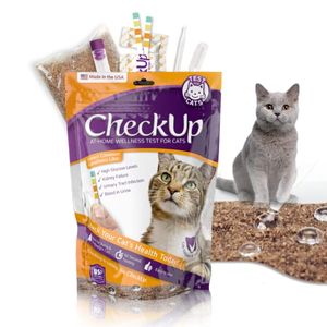 KIT4CAT Preview