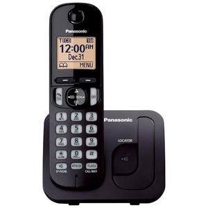 PANASONIC Preview