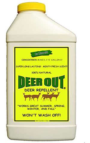 DEER OUT Preview