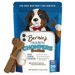 BERNIE'S Preview