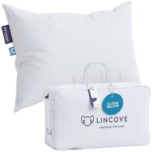 LINCOVE Preview