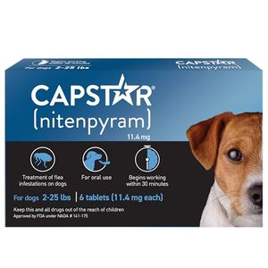 CAPSTAR Preview