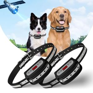 BLINGBLING PETSFUN Preview