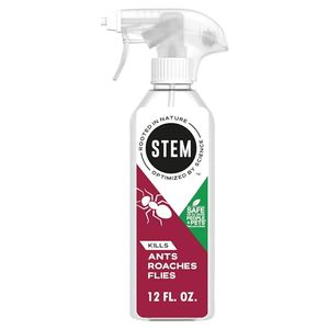 STEM Preview