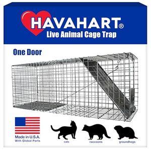 HAVAHART Preview