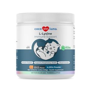 COCO AND LUNA Preview