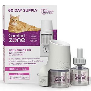 COMFORT ZONE Preview