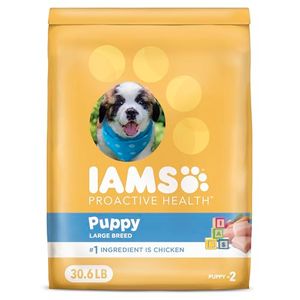 IAMS Preview
