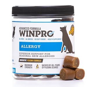 WINPRO Preview